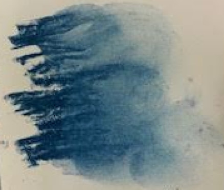 Νο. 291 - ξηρό παστέλ l'ecu Sennelier Prussian blue